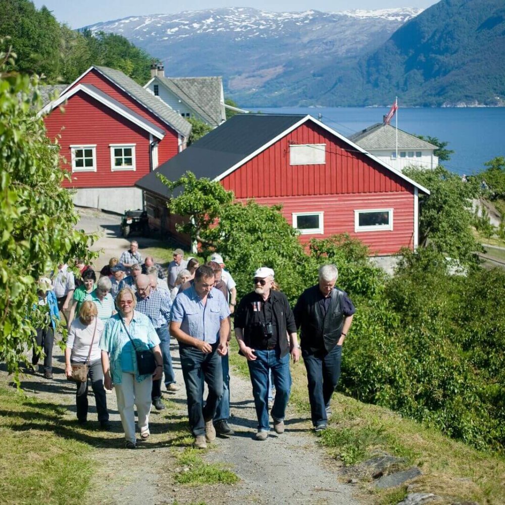 Ola-m-gruppe Ola-m-gruppe